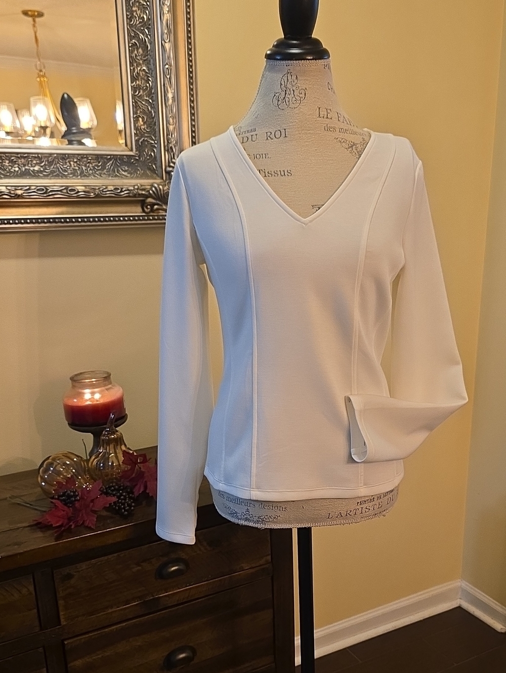 NWT Banana Republic V-Neck Long Sleeve Top